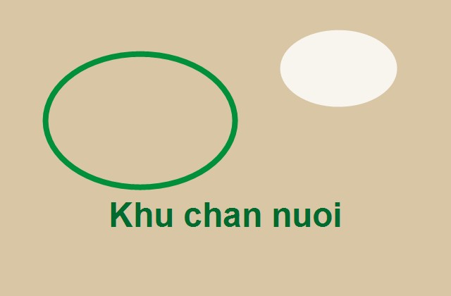 Khu chuồng trại gia cầm sạch