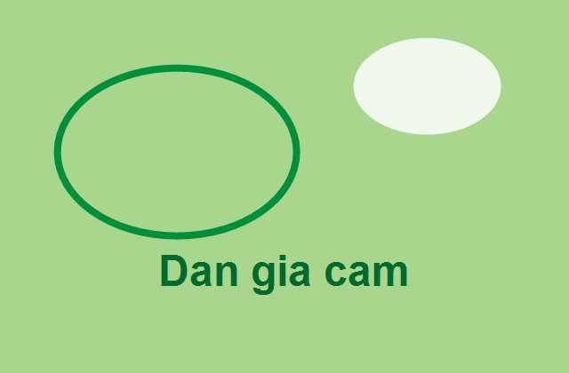 Đàn gia cầm khỏe mạnh tại trại