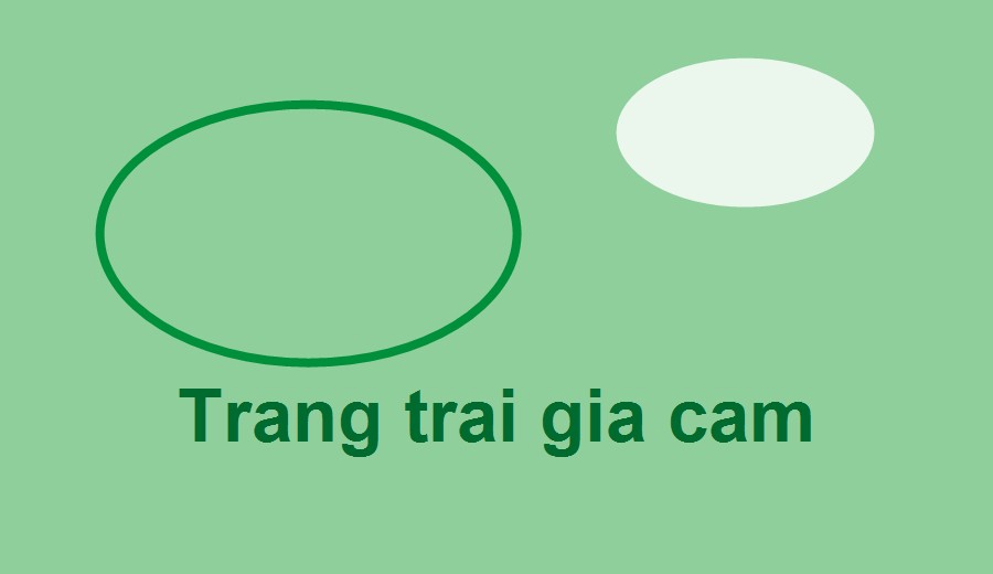 Toàn cảnh trang trại gia cầm đạt chuẩn