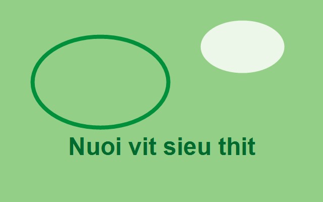Kỹ thuật nuôi vịt siêu thịt