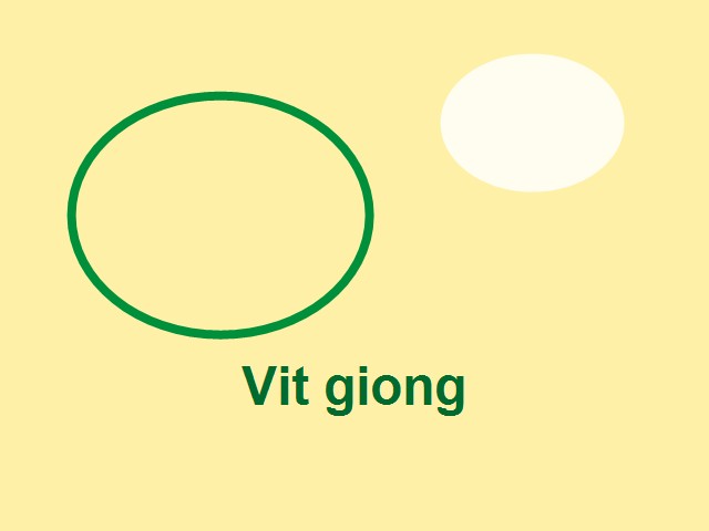 Vịt giống