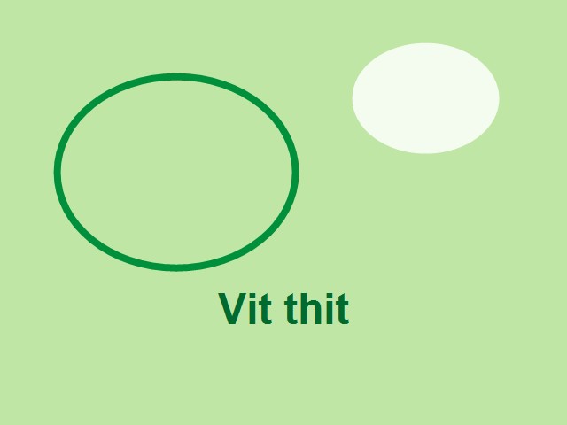 Vịt thịt